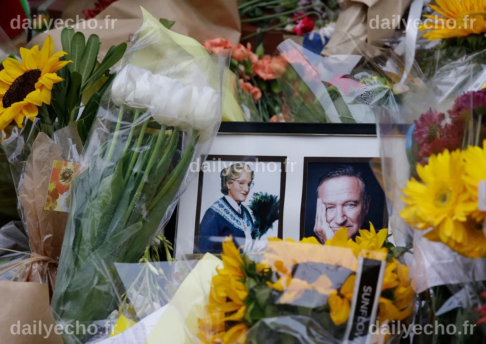 L'héritage de Robin Williams : Un regard sur sa vie et ses funérailles