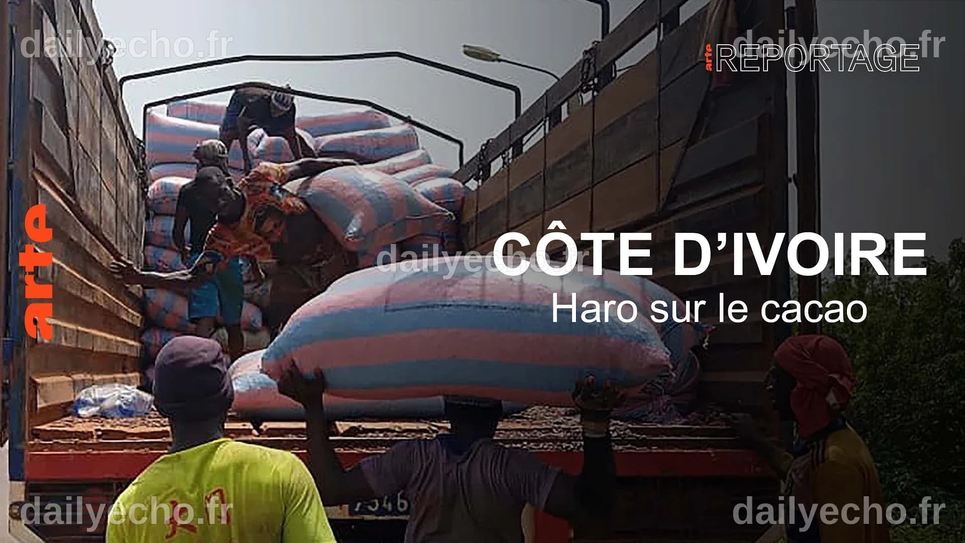 Côte d'Ivoire : haro sur le cacao - ARTE Reportage - Regarder le ...