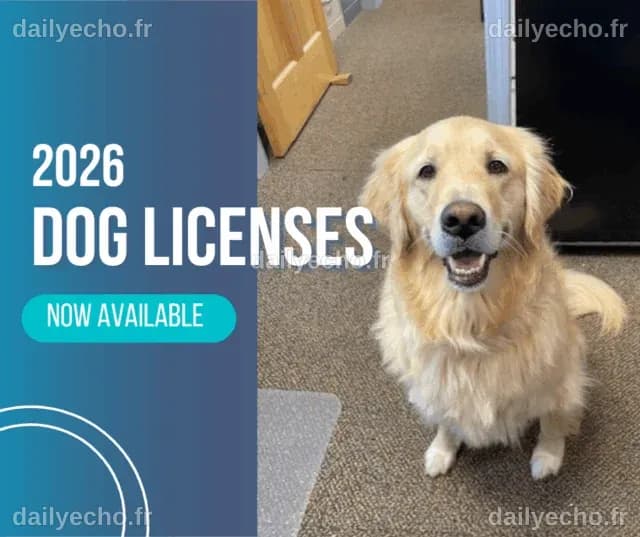 2026 Dog Licensing Has Begun! - Strong, Maine