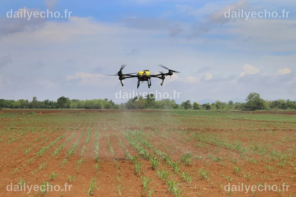 Agricultural Drones Are Taking Off Globally, Saving Farmers Time and ...