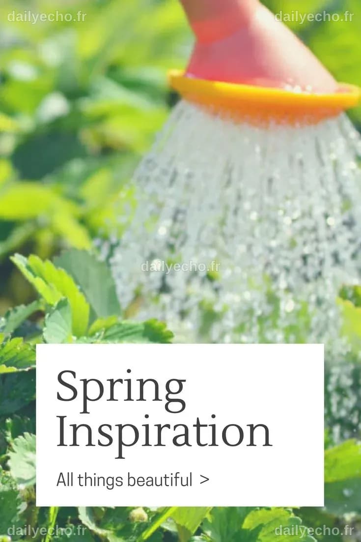 As you consider your gardening plan for 2017, why not resolve to use ...