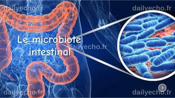 Le microbiote intestinal