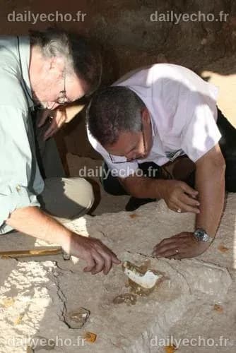 Fossils unearthed in Morocco are first from little-understood period of ...