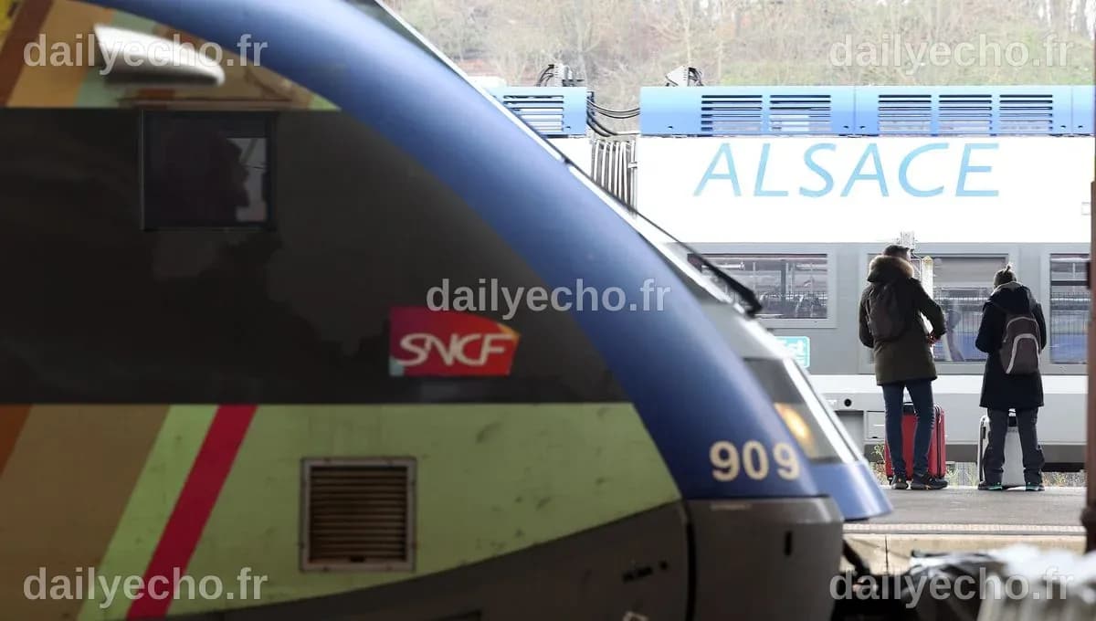 STRASBOURG | Réseau Express Métropolitain Européen (REME ...