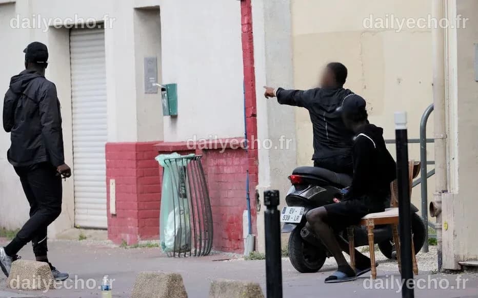« Enquête exclusive » sur M 6 : une plongée édifiante dans le business ...